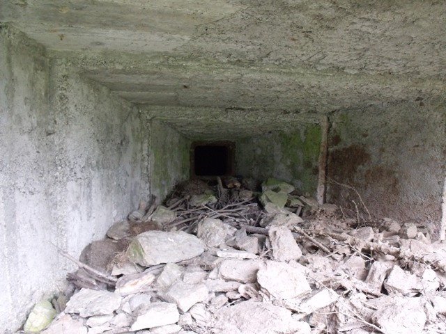 DSCF2399.JPG