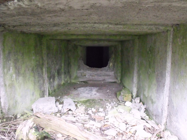 DSCF2398.JPG