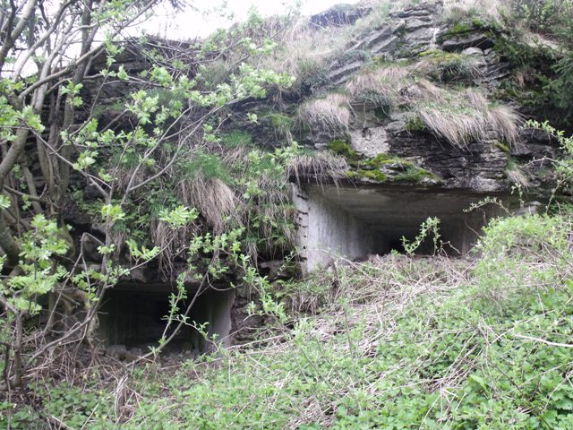 DSCF2397.JPG