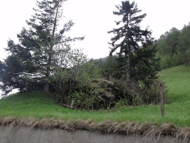 DSCF2396.JPG