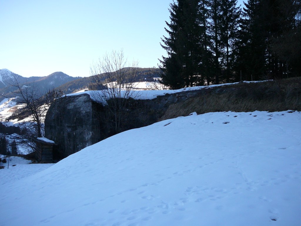 P1210053.JPG