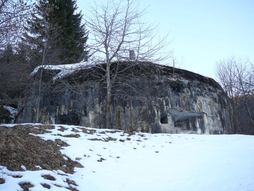 P1210036.JPG