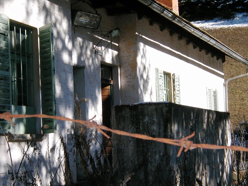 P1010281.jpg