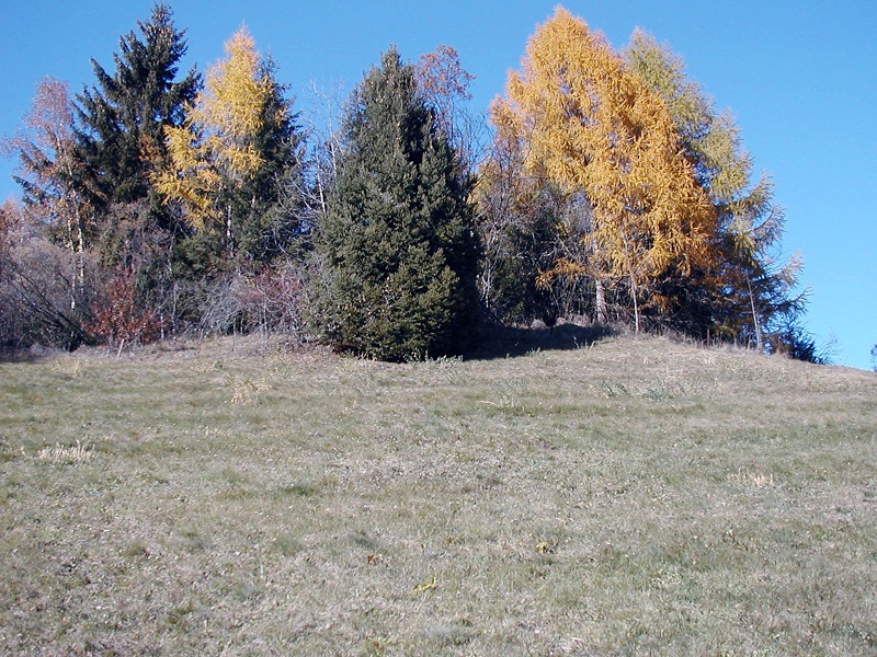 P1010175.jpg