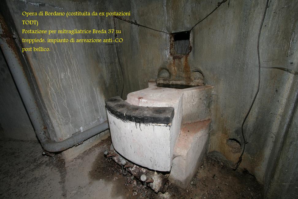 bordanoM.jpg