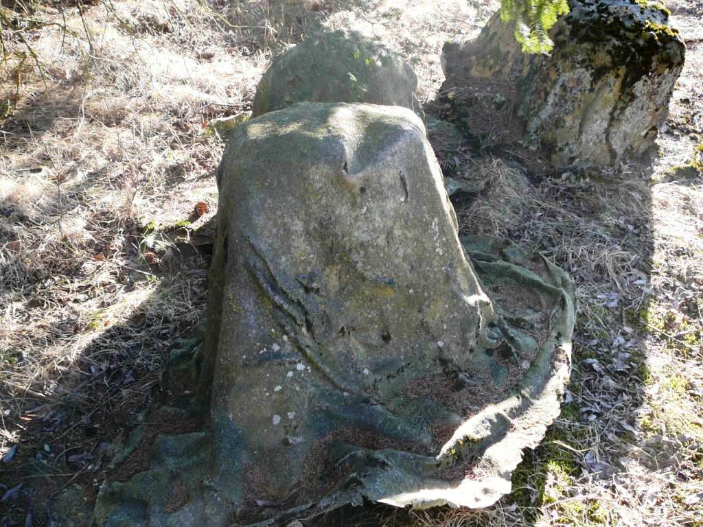 Strano cammuffamento. COsa ci sara' sotto?