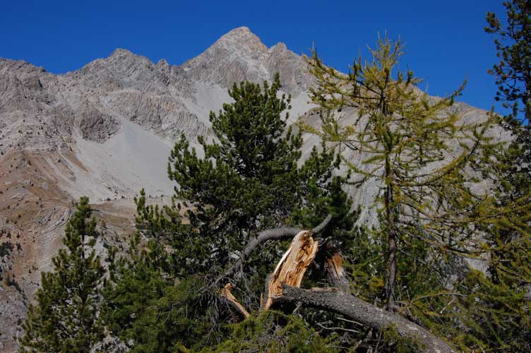 Siamo in cima a Rocca Clarì,a N lo Chaberton è veramente imponente