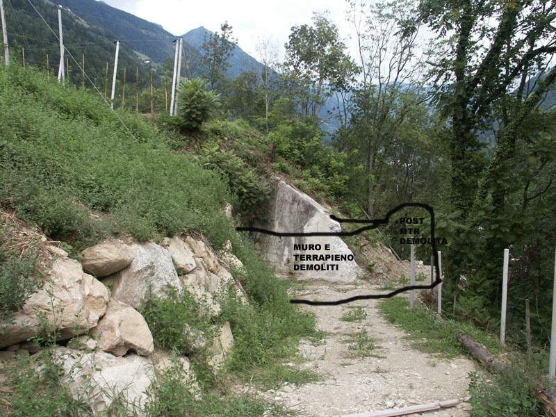 5 Saltusio op7 0443m1.jpg