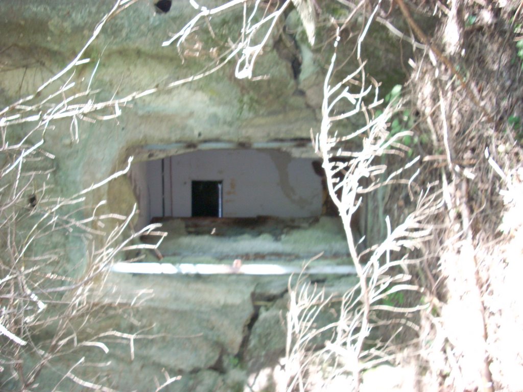 Immagine 601.jpg
