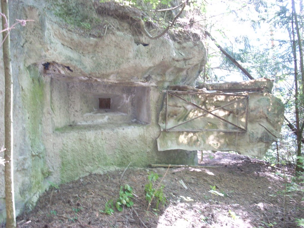 Immagine 603.jpg