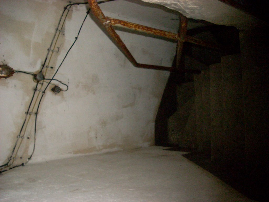 Immagine 606.jpg