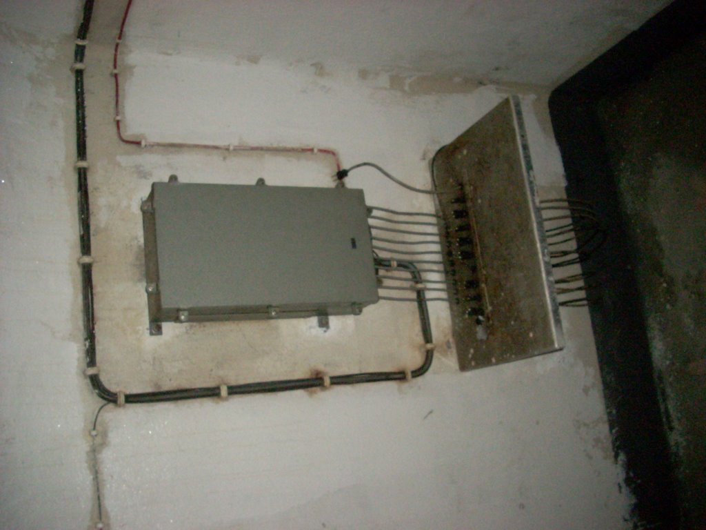 Immagine 609.jpg