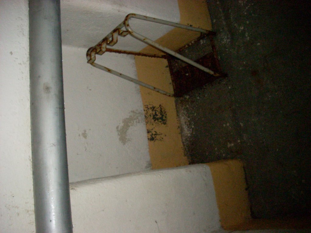 Immagine 611.jpg