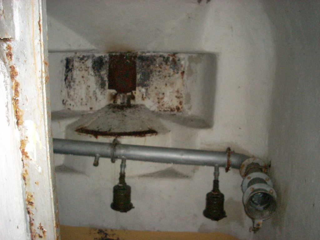 Immagine 612.jpg
