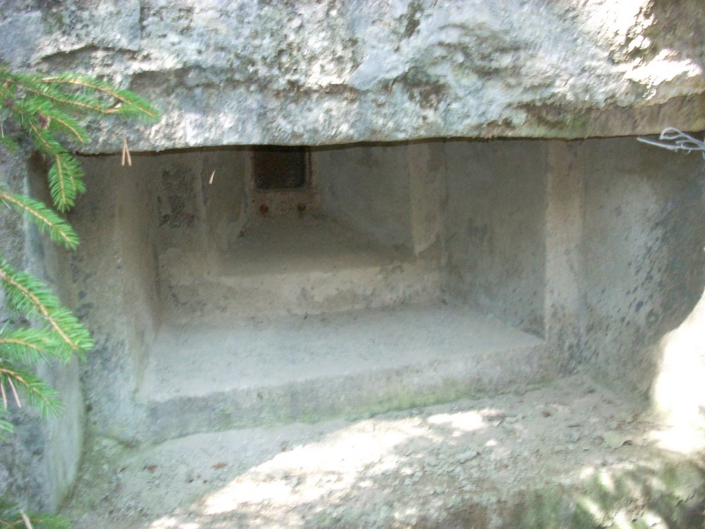 Immagine 614.jpg