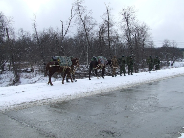animal_transport-44.jpg