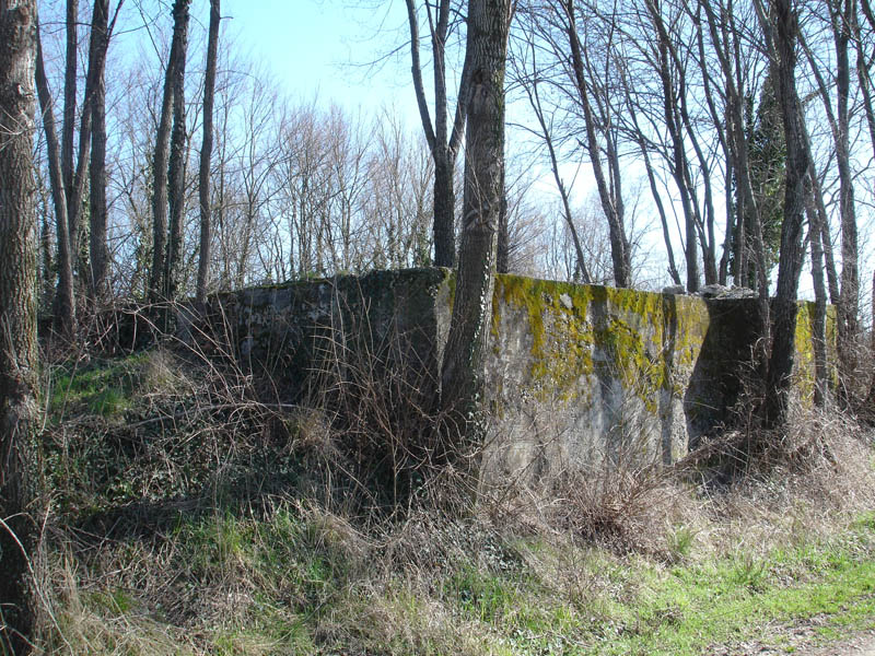 vasca carro.jpg