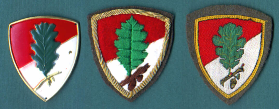 br Avellino rid.JPG