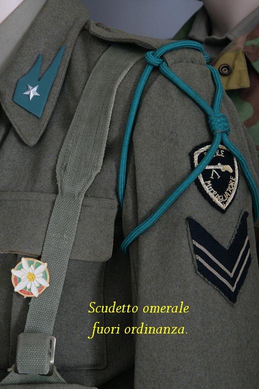 scude.JPG