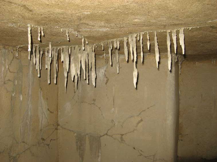 Stallattiti dal soffitto
