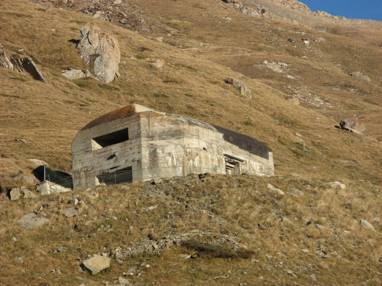 Vista ravvicinata della 37
