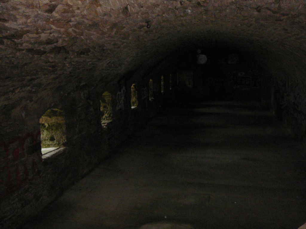 P1220019.JPG