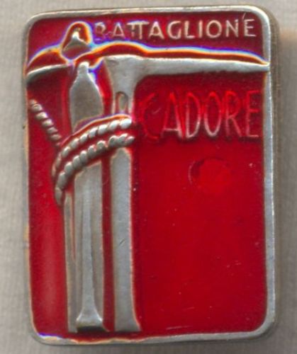 Btg. Alpini Pieve di Cadore.jpg