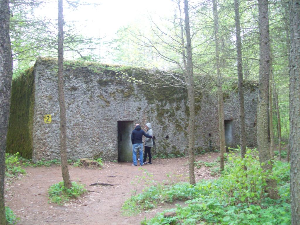 107_9686.JPG
