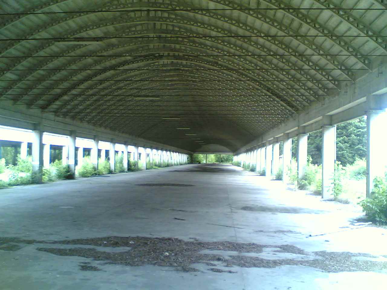 06072009(006).jpg