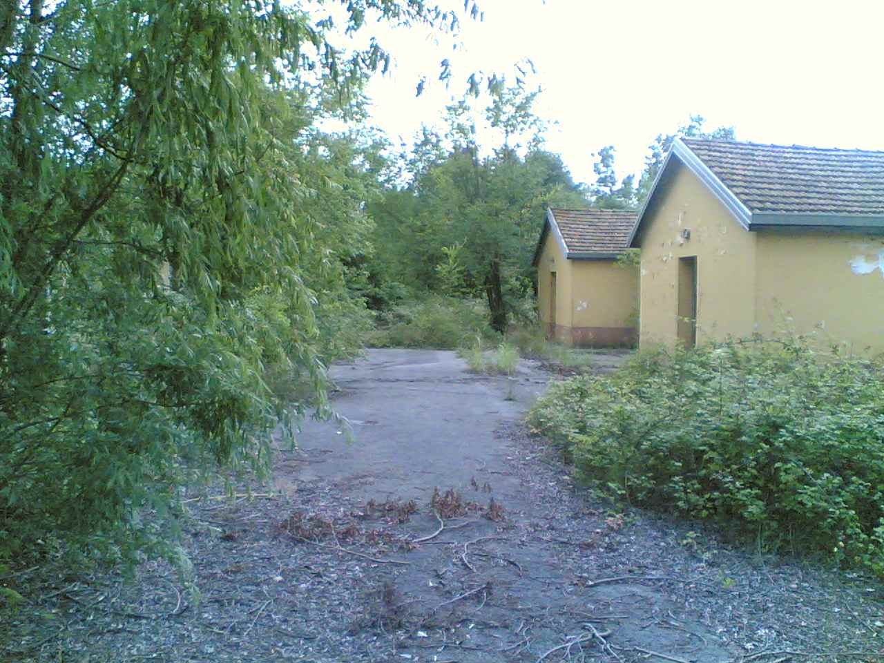 06072009(013).jpg