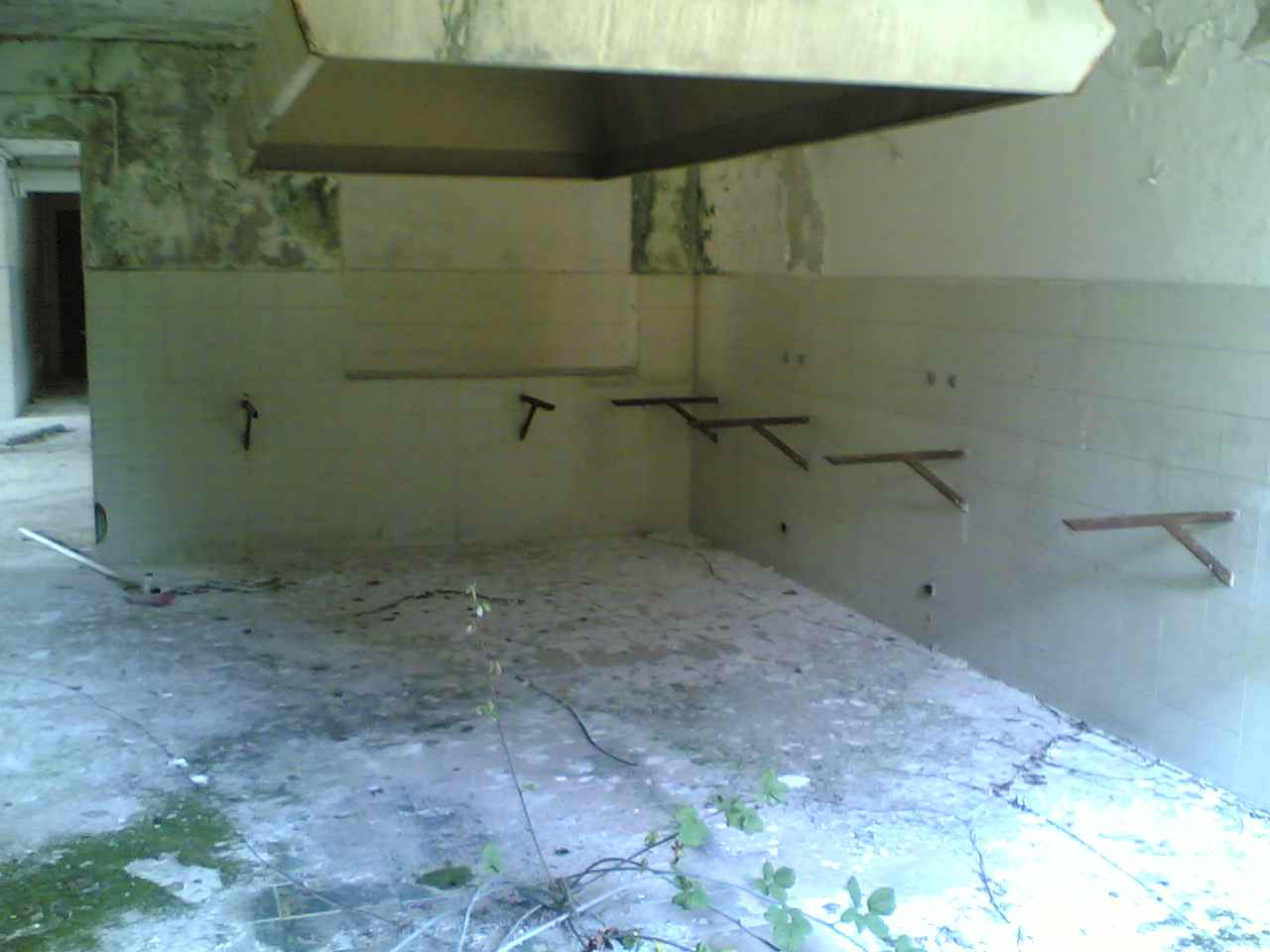 06072009(015).jpg