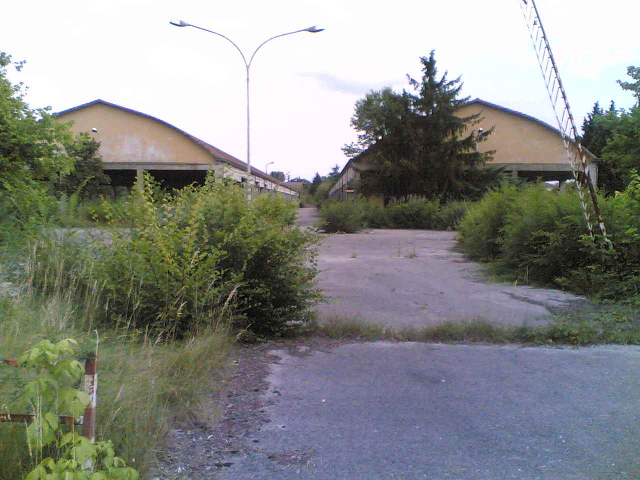 06072009(004).jpg