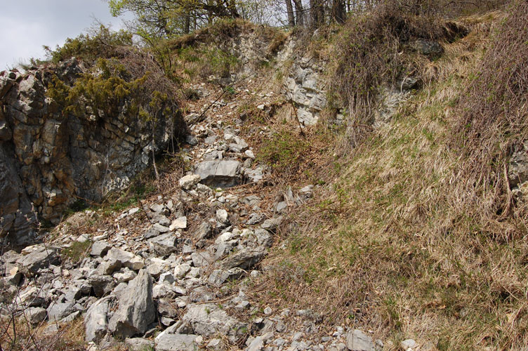 Esterno della diramazione di sx