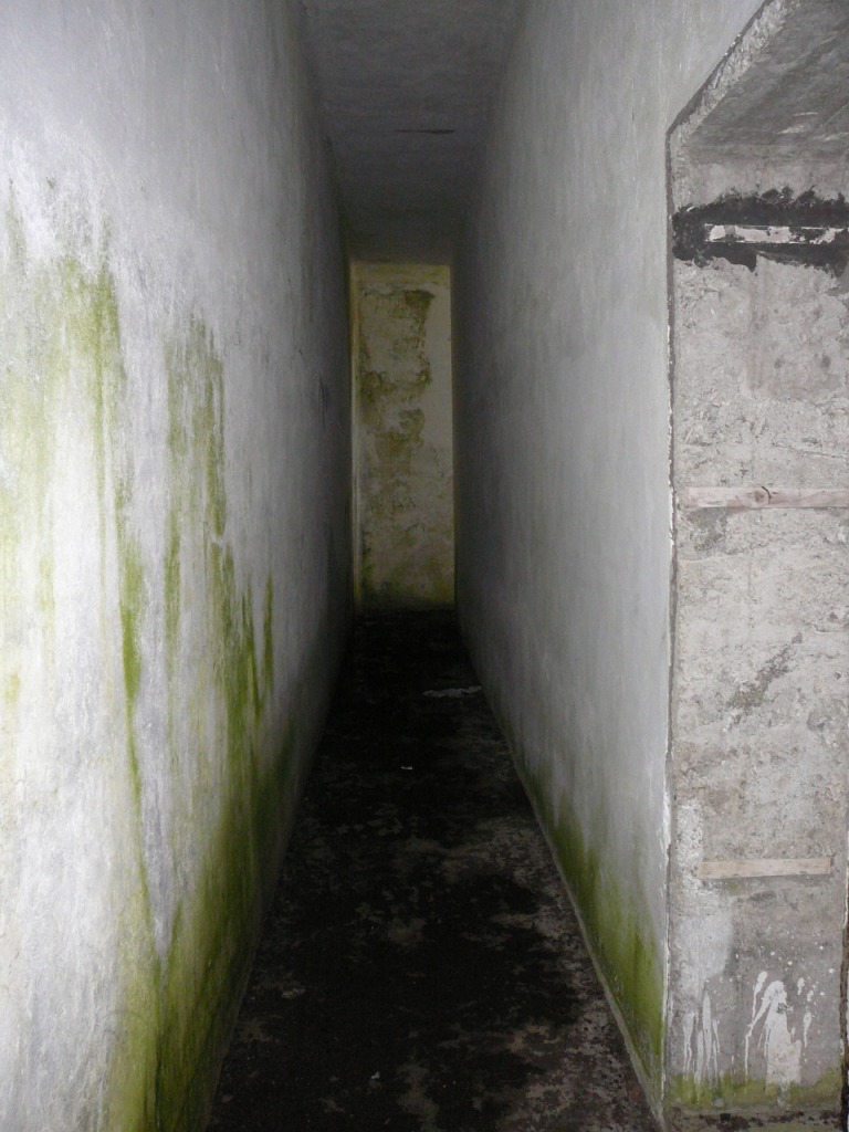 P1240585.JPG