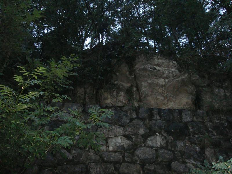 aDSC01730.JPG