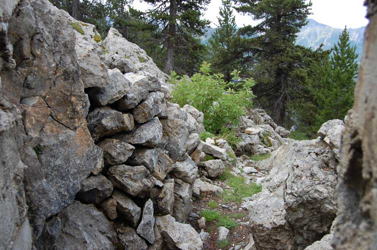 La trincea di accesso vista dall'interno