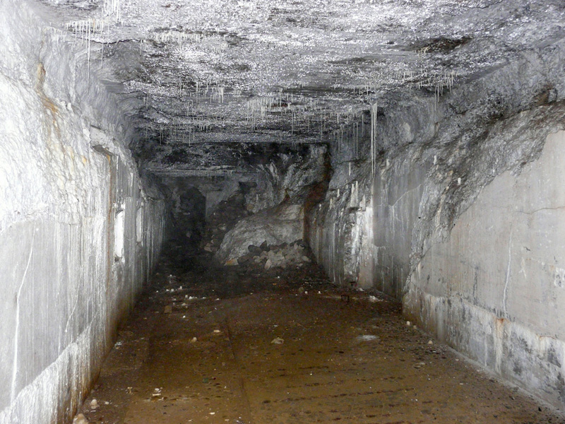 Or01.jpg