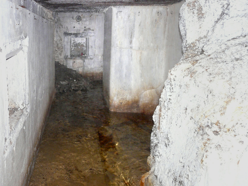 Or02a.jpg