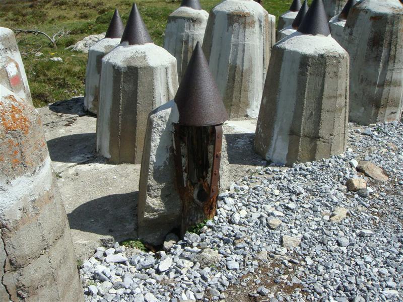 DSC09587.JPG