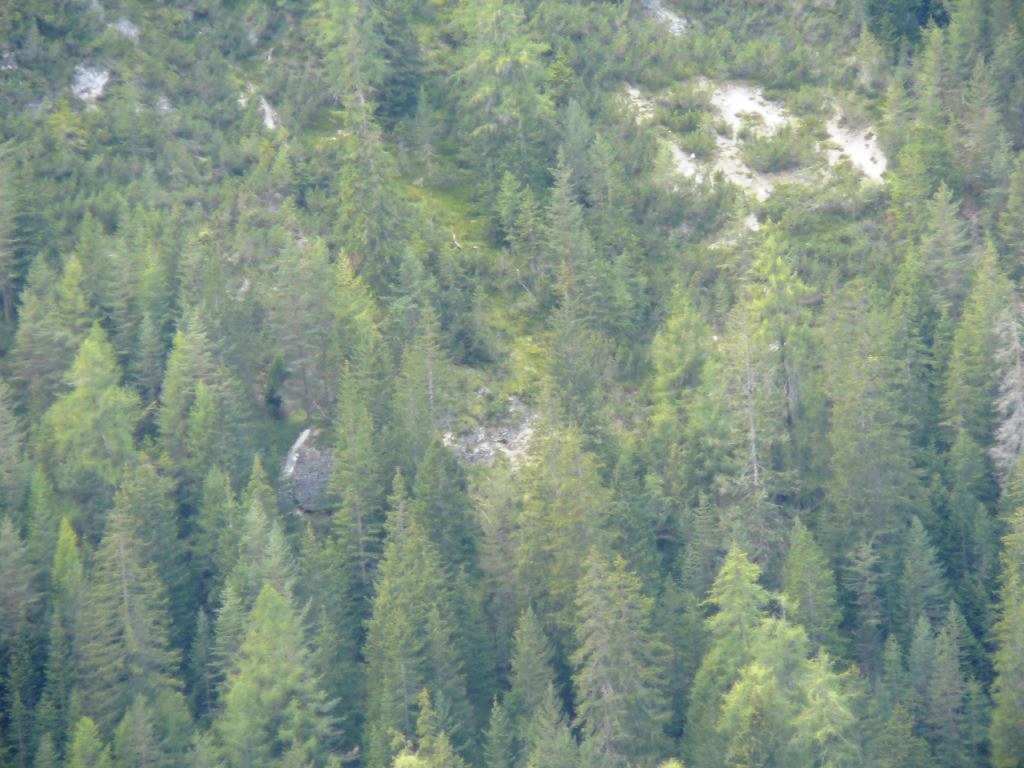 Localizzazione al centro della foto