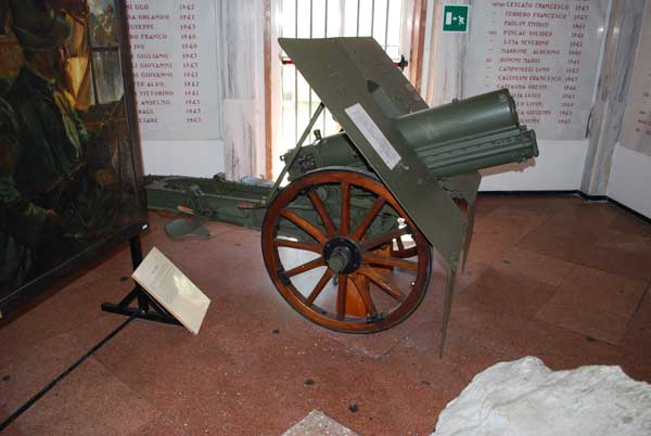 Esemplare del Museo Nazionale Storico degli Alpini